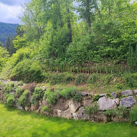 Apartma Lara Apartment Bled